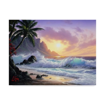 Anthony Casay 'Sunset Beach 1' Canvas Art,24x32